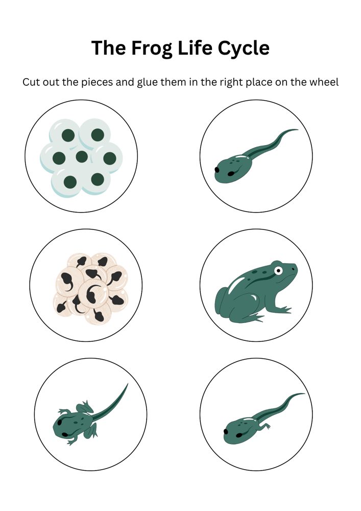 The Frog Pond printable pack (A4 PDF, 6 pages) preview