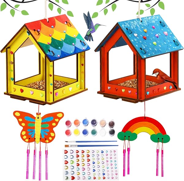Wooden bird feeder craft kit