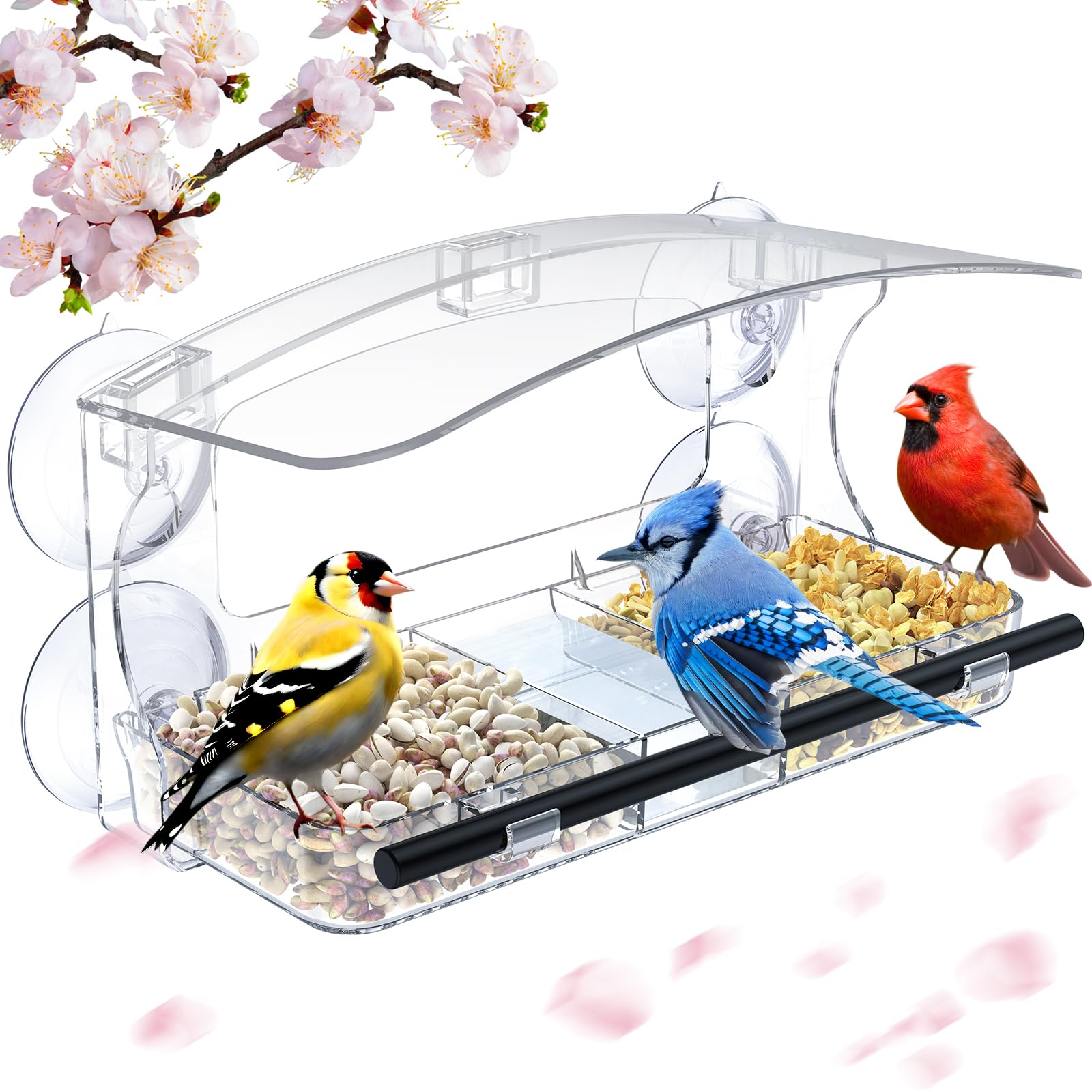 Clear window bird feeder