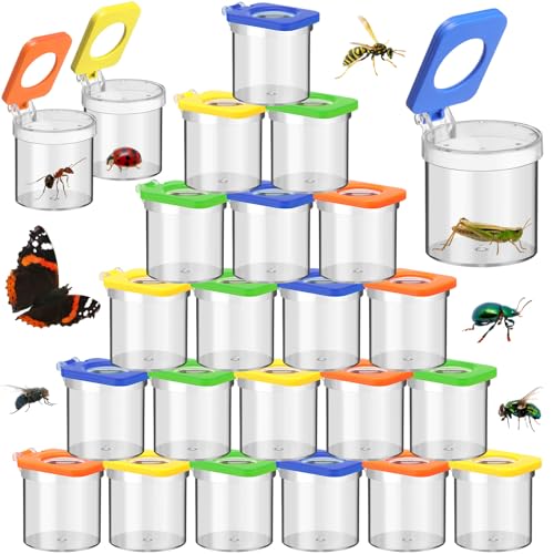 Bug viewer jar with magnifying lid