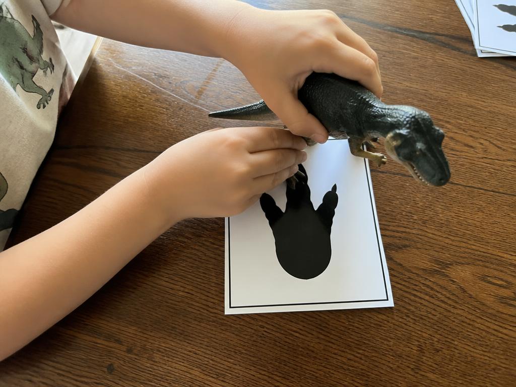 Standing each dinosaur on the footprint it belongs to.