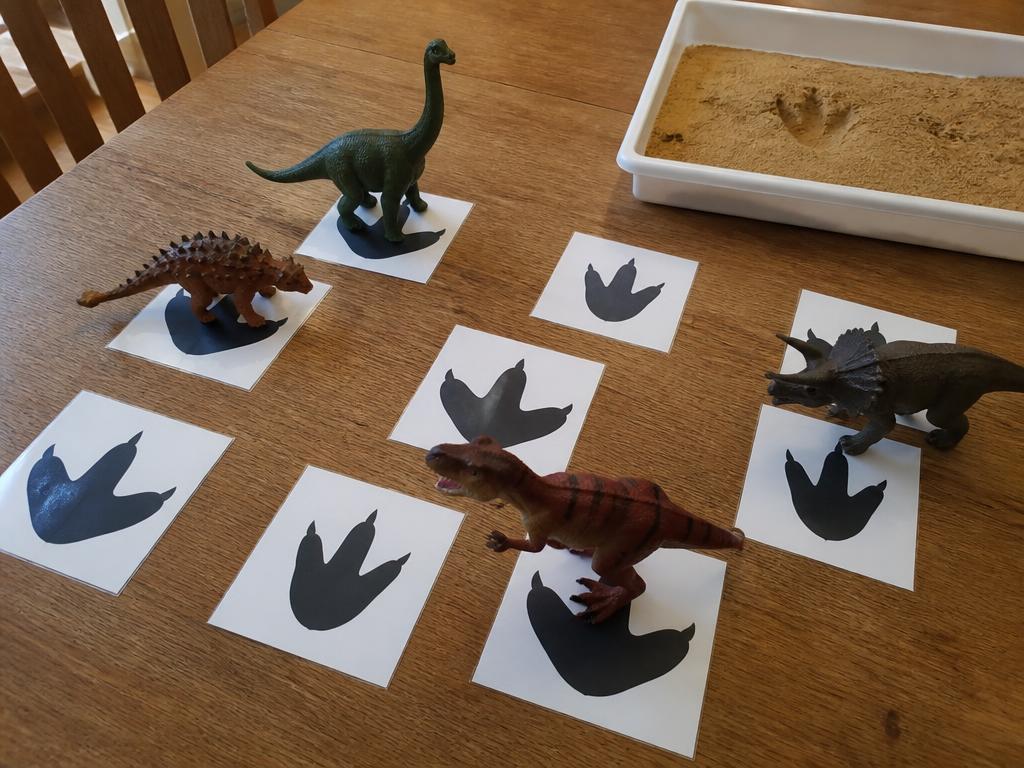 Dinosaur footprint cards (A4 PDF) printable for kids