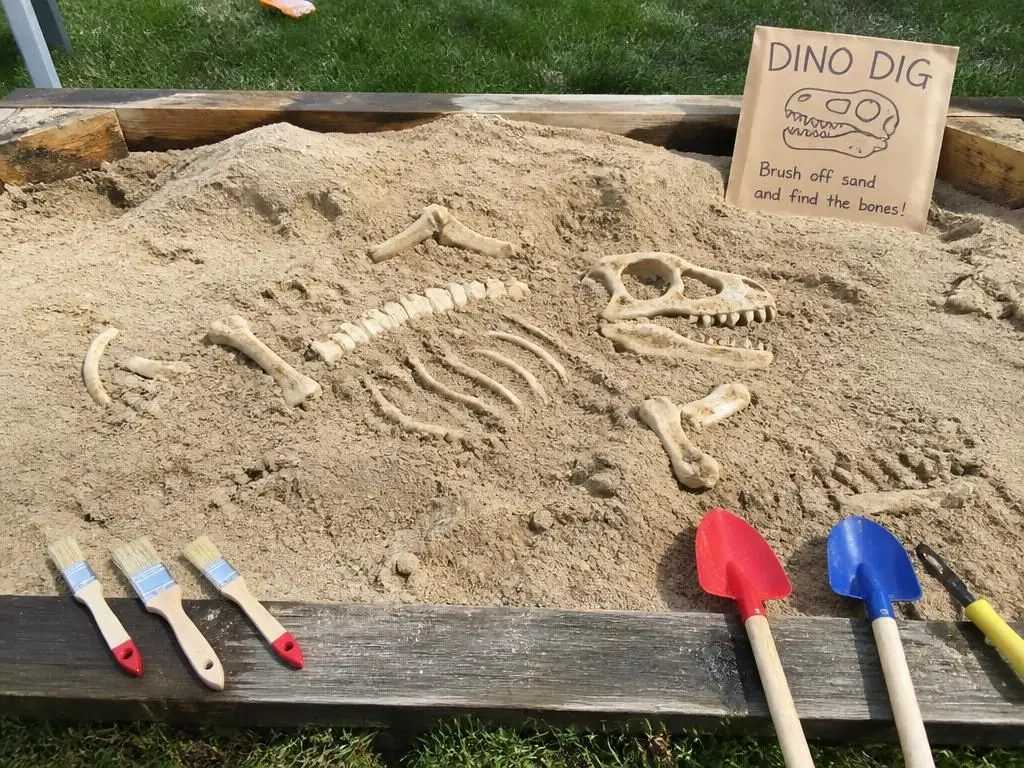 Bones buried the night before, brushes laid out in a row along the edge.