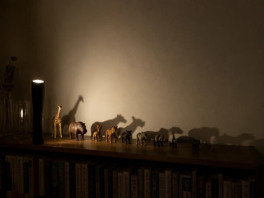 A shelf, a torch behind the animals, and a whole wall of shadows.