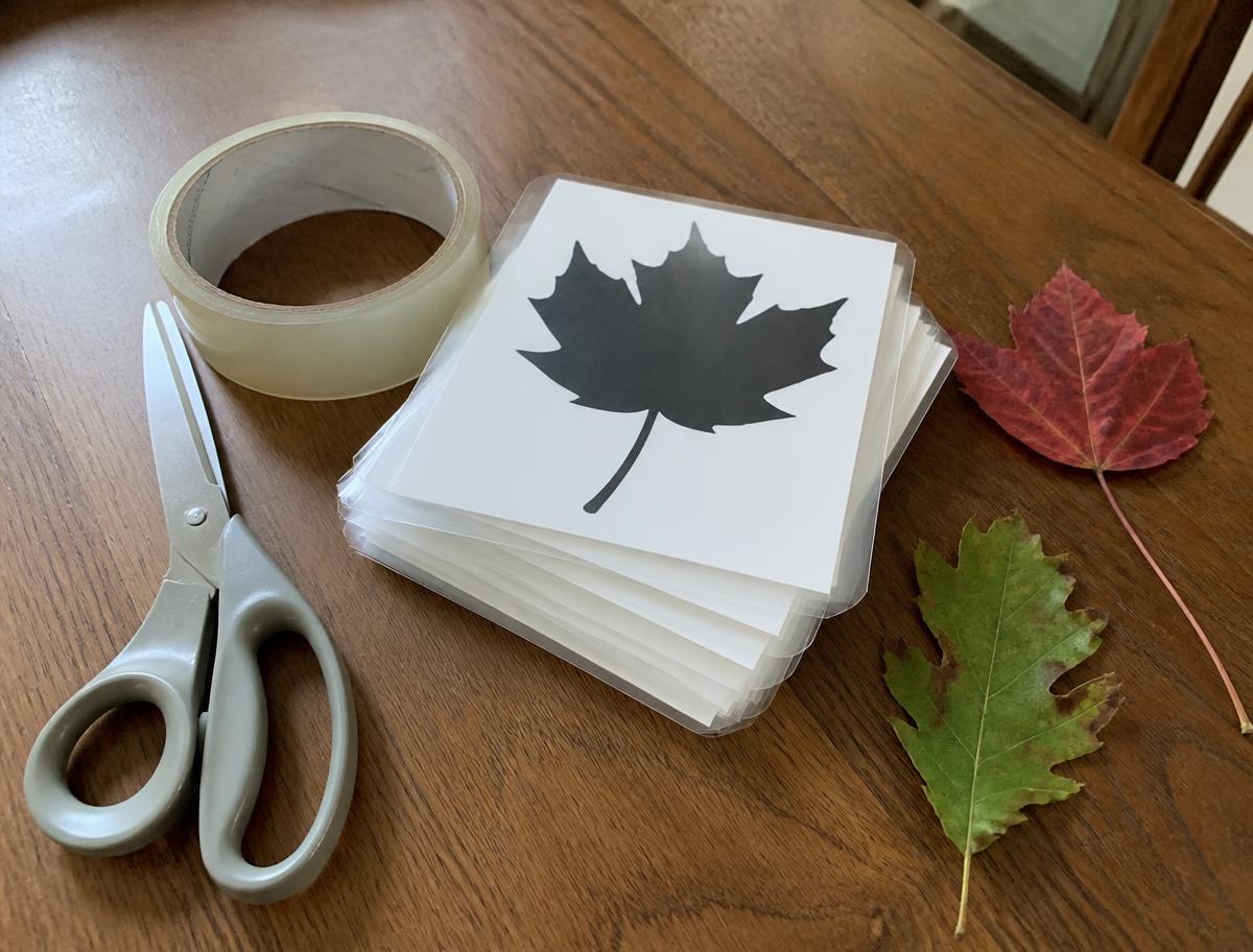 The printed silhouettes, cut apart and ready on the table.