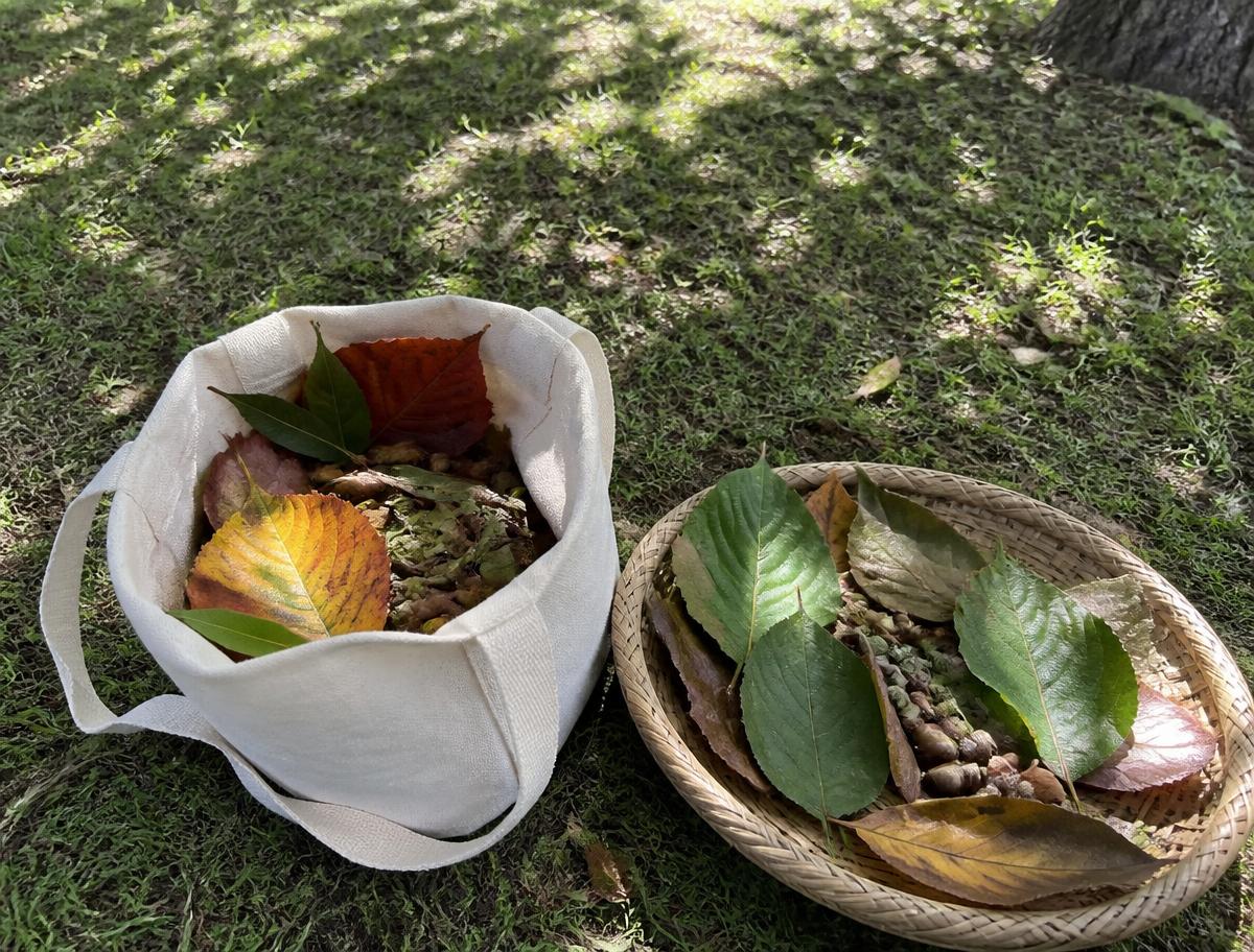 Collecting from the ground on the way home — the basket does the inviting.