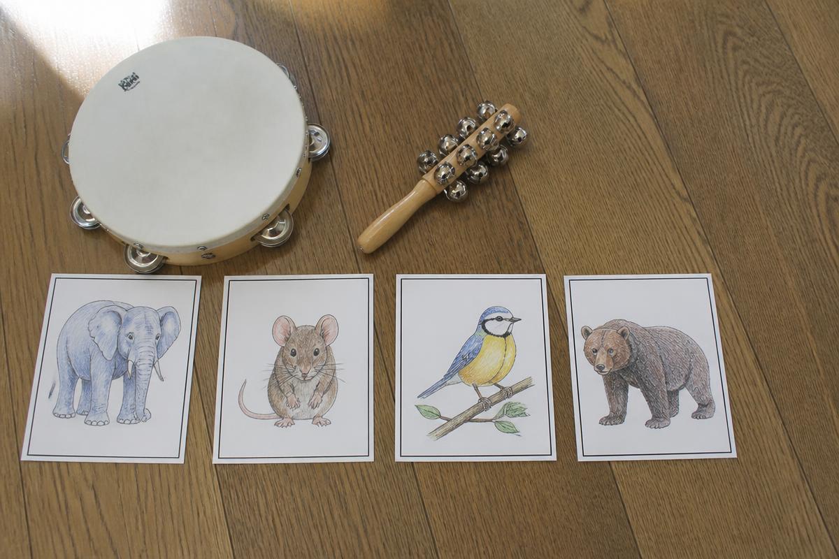 The animal cards - loud, quiet, fast and slow in pictures.