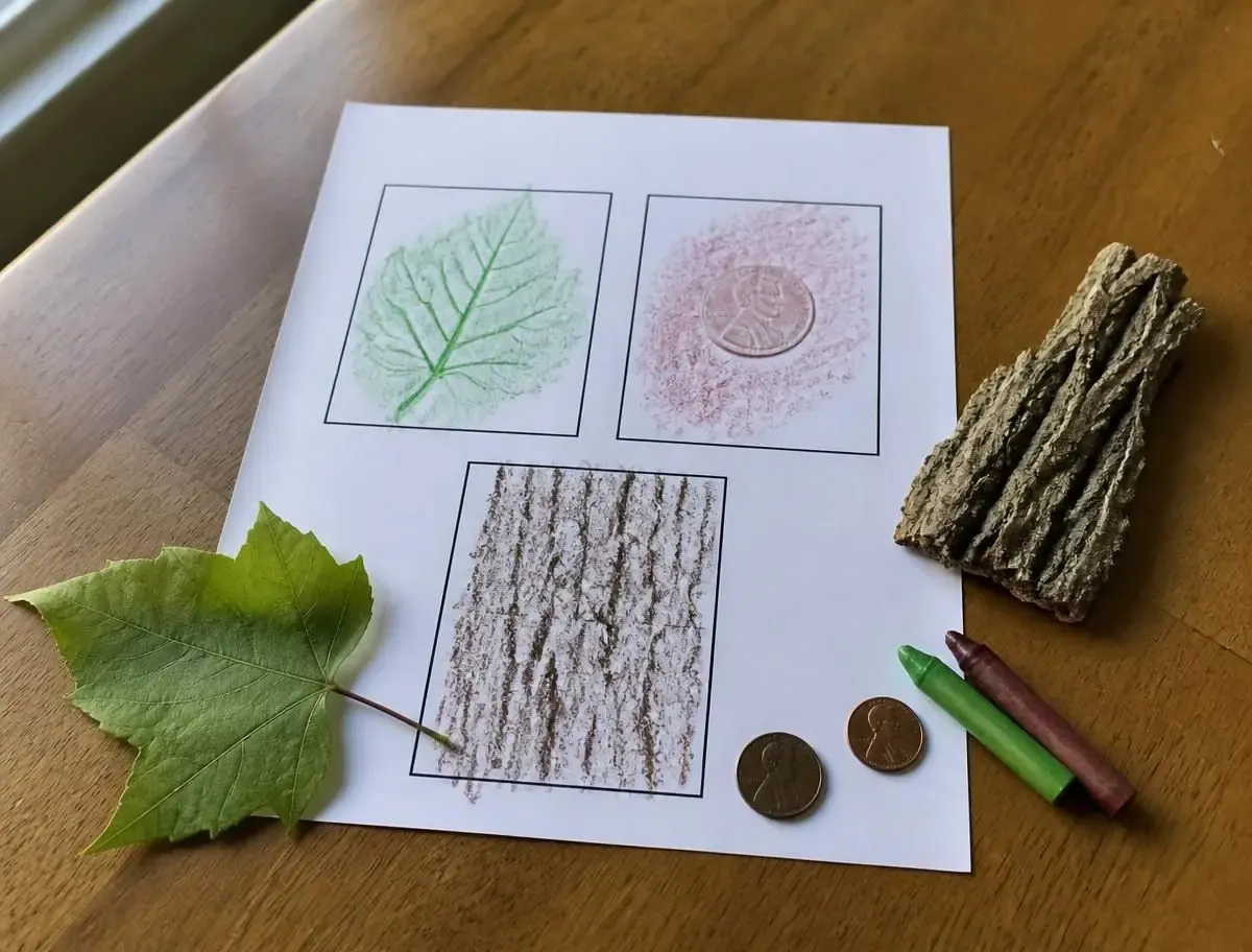 Texture Rubbing Cards Basket