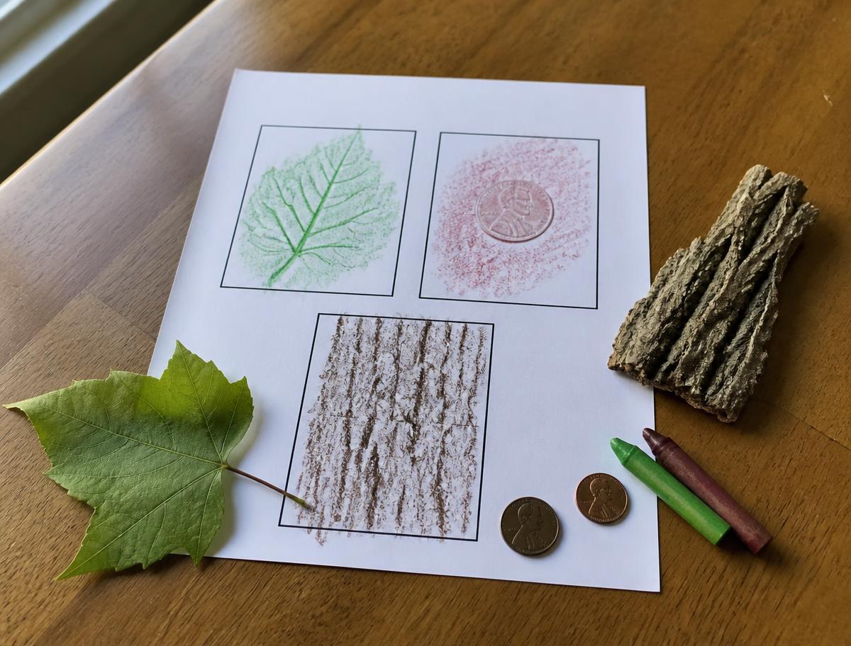 Texture rubbing cards (A4 PDF) printable for kids