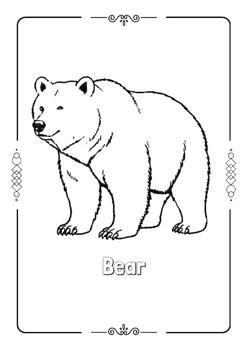 Bear coloring page from the free Spring coloring book