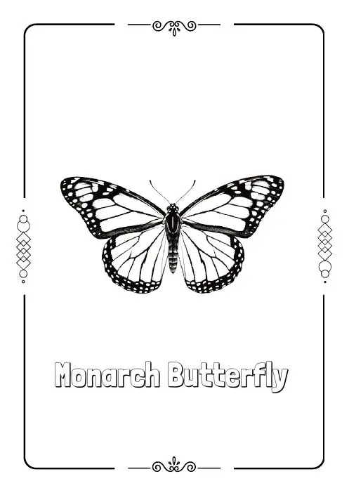 Monarch butterfly coloring page from the free Spring coloring book
