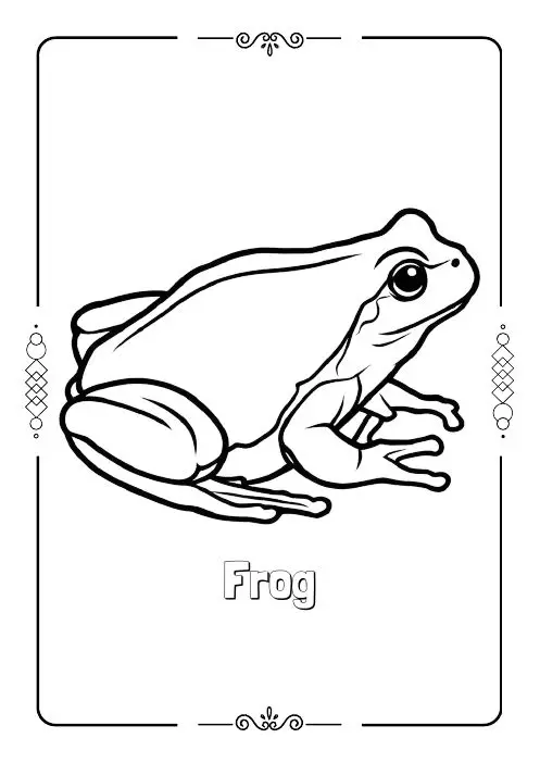 Frog coloring page from the free Spring coloring book