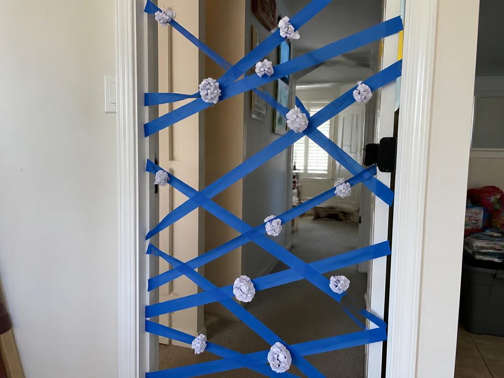 A sticky doorway web with paper balls to throw.