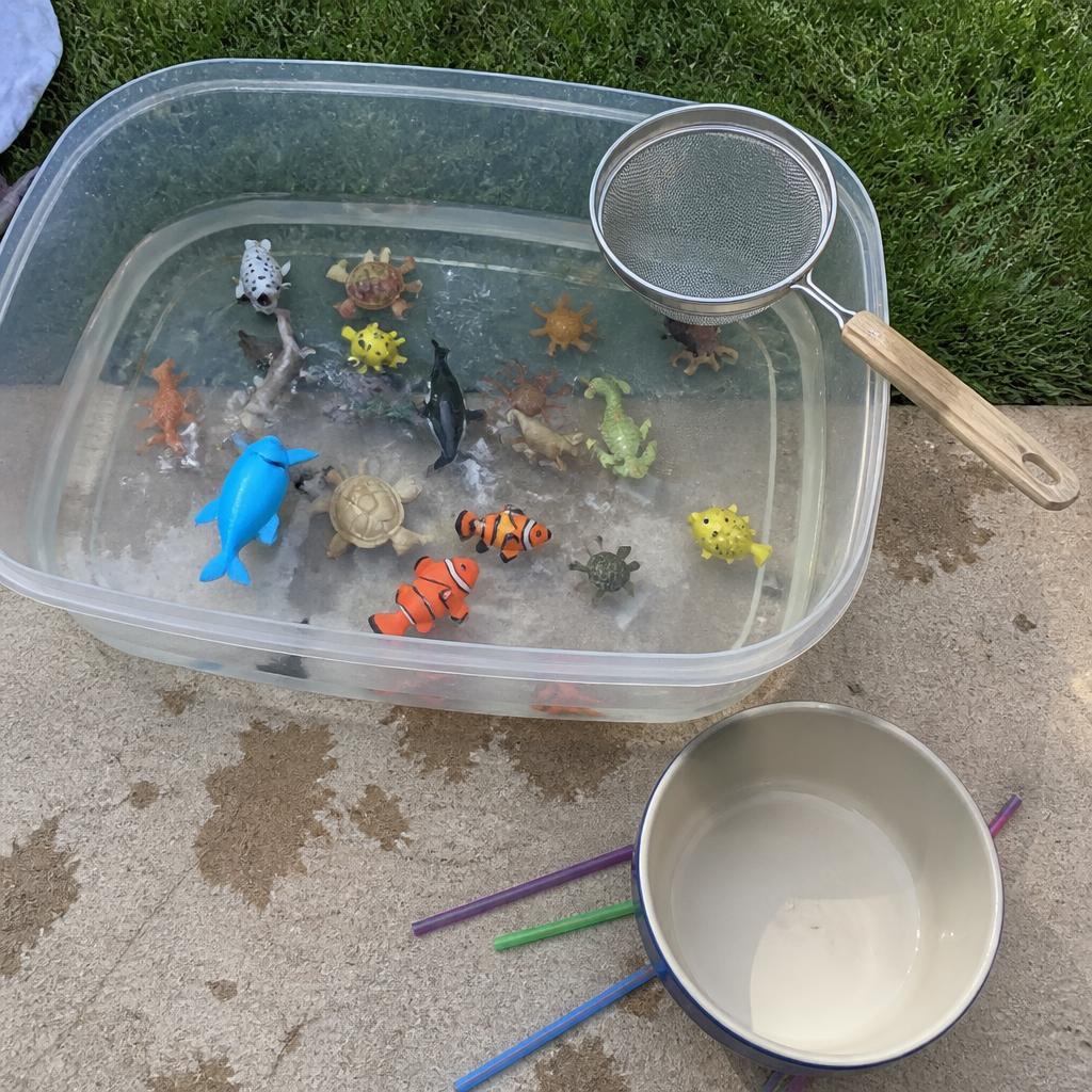 Water Rescue Basket